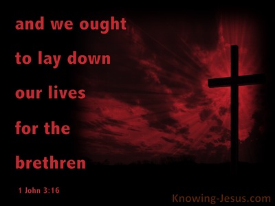 1 John 3:16 Lay Down Our Life For The Brethren  (red)